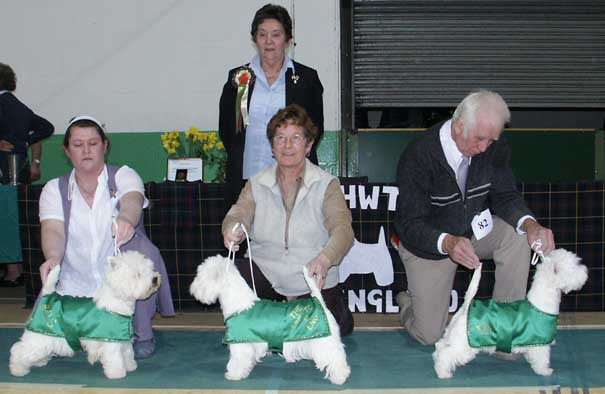 BOS    &     BIS     &   Best Puppy  with the judge Mrs Coy