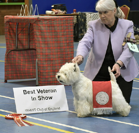 Best Veteran in Show Morning
