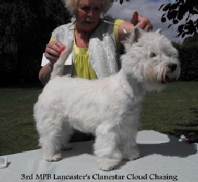 Clanestar Cloud Chasing