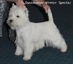Duskhunter Winter Special1