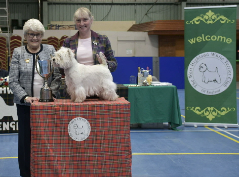 Glenalwyne Sonny Boy Trophy. Dalskairth Glamis Girl 4