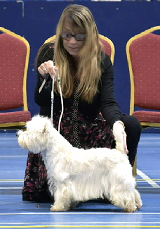 Graduate Dog 2nd Go Steady Eddie