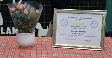Jean Certificate
