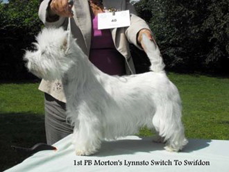 Lynnsto Switch For Swifdon