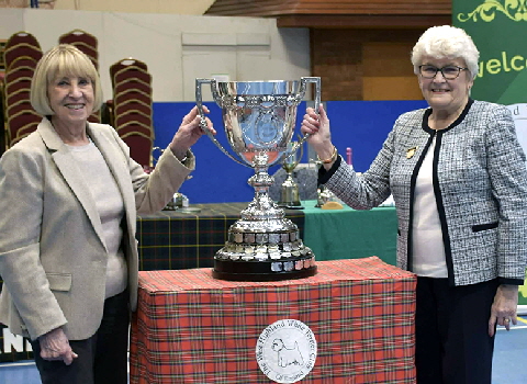 Macconachie Trophy Ch Krisma Winter Sun