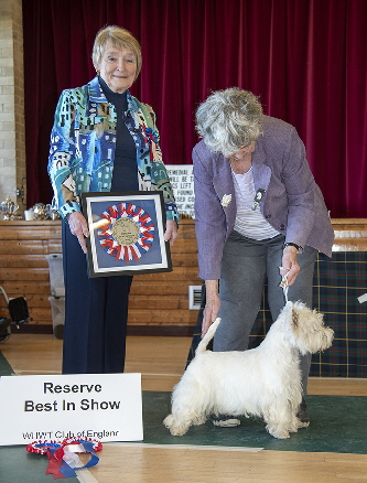 Reserve Best in Show & Best Opposite Sex - LYNNSTO FULL CIRCLE WITH ASHGATE
