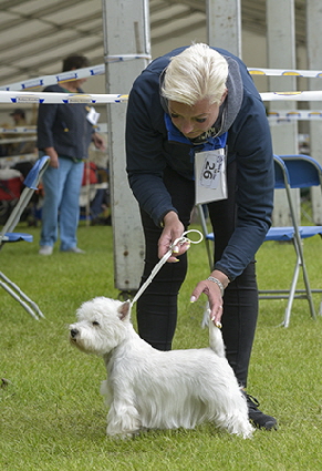 1st JB - NINA RICCI BLATAJ AT CHERRYLEAGUE 1st JB - NINA RICCI BLATAJ AT CHERRYLEAGUE