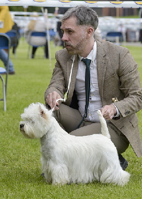 1st OB - CH LIZANDYCRIS THE NEW HOPE AT NOSSIMP 1st OB - CH LIZANDYCRIS THE NEW HOPE AT NOSSIMP