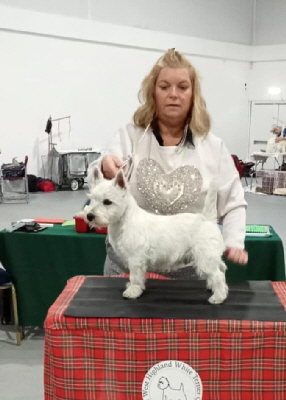 3674915c-76dc-4cdf-9954-2094ca06773e