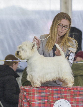 3rd OD - LYNNSTO FULL CIRCLE WITH ASHGATE 3rd OD - LYNNSTO FULL CIRCLE WITH ASHGATE