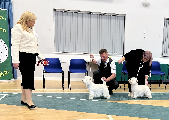 75530f86-50b8-4119-82f4-cdecf3d15d93