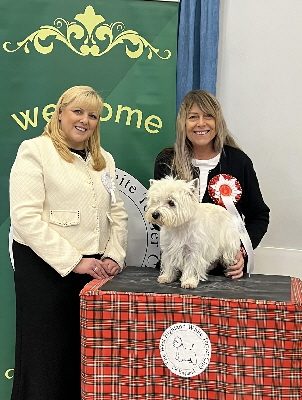 7c3dc06b-58d5-43af-9600-b0f869dc1ef6