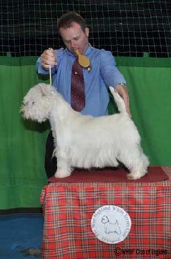 ANTONIA APPLE PIE AT BRAXQUIN ANTONIA APPLE PIE AT BRAXQUIN