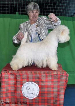 ASHGATE U.S. APOLLO ASHGATE U.S. APOLLO