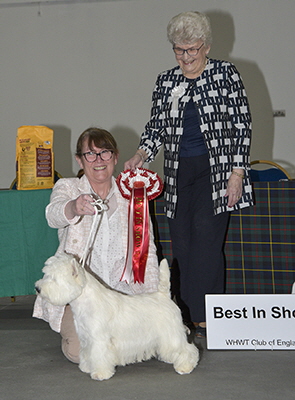 BIS-Burneze Reach For The Stars