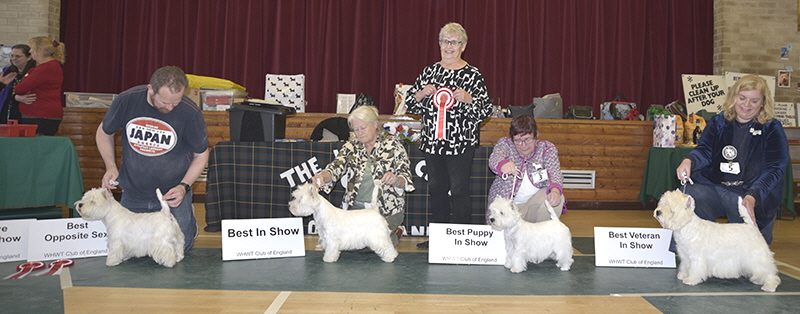 BIS Line up8 BIS Line up8