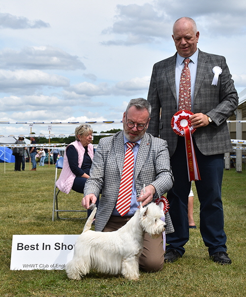 BIS_Havasu Heir Apparent