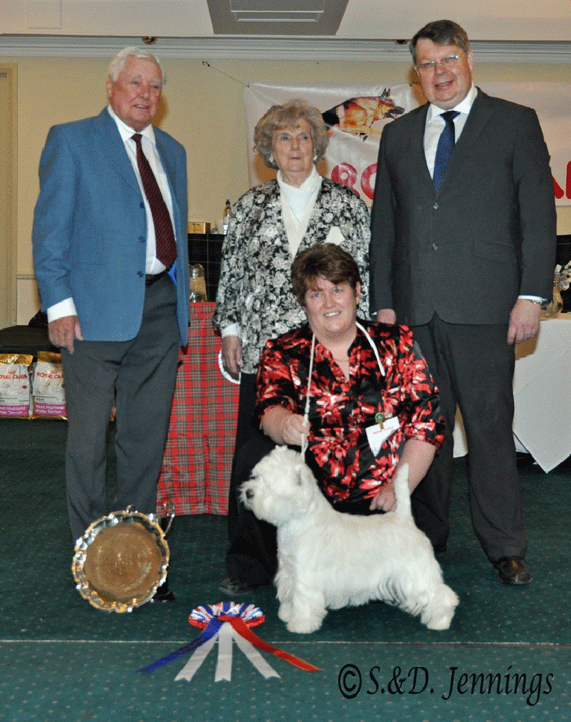 BOYWinner12 BOYWinner12