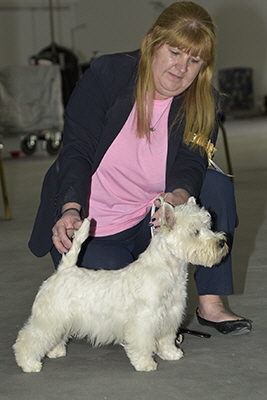 BP - Nossimp Fine Beacon Of Hope