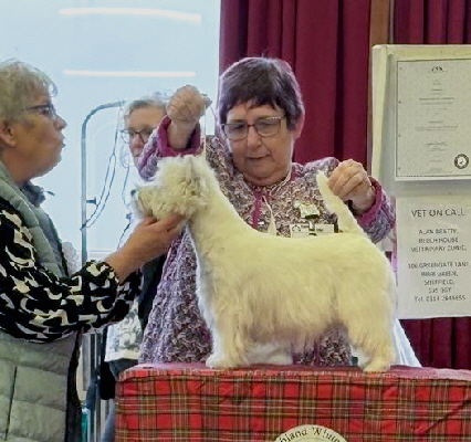 BPIS - Krisma Finishing Touch For Llovall BPIS - Krisma Finishing Touch For Llovall