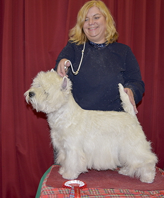 BV - Gelmoore Midwinter Magic At Fourastay2 BV - Gelmoore Midwinter Magic At Fourastay2