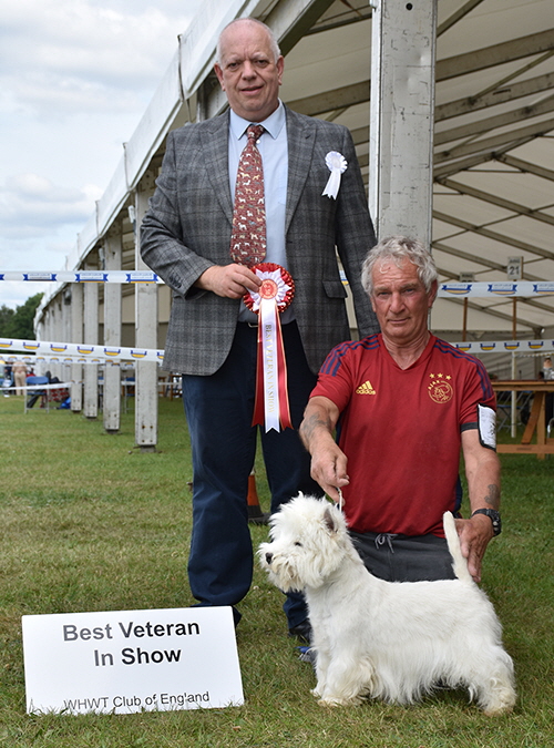 BVIS_ Ch Andjoliam Silent Witness