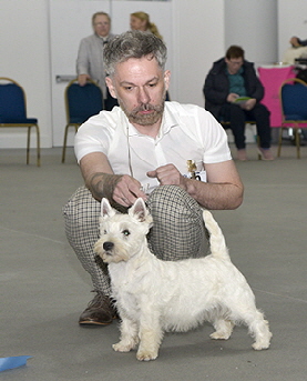 Baby Puppy 1st - Nossimp Hope Of A Fine Future   2nd-Nossimp Fine Beacon Of Hope