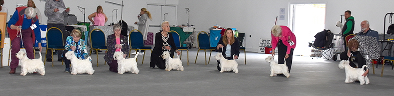 Bitch Challenge Morning2