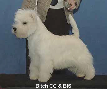 BitchCCWeb02 BitchCCWeb02