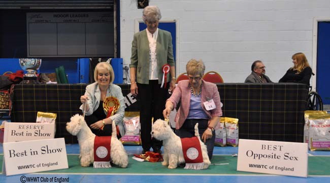 CC Winners CC Winners