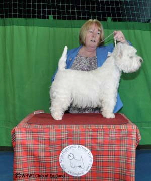 CRINAN CODE NAME WESTLAKE CRINAN CODE NAME WESTLAKE