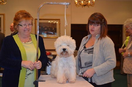 Competitors Competitors