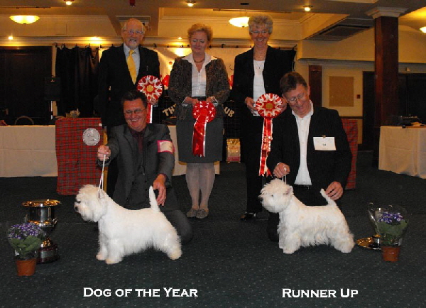 DOY&Runnerup DOY&Runnerup