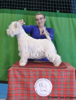 DRUMSHEUGH JEWEL OF THE NILE DRUMSHEUGH JEWEL OF THE NILE