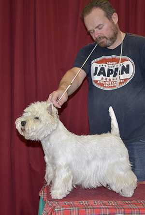 GB.BB.BOS - Braxquin Remember Me GB.BB.BOS - Braxquin Remember Me