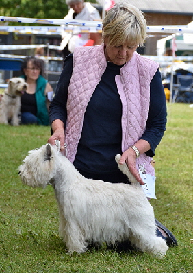 GD_ Frisbeck Horn Pipe