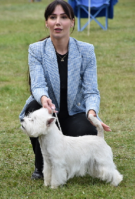 GD_Newvoldemort Maximumforce For Leolux