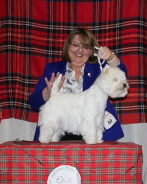 HIGHCROSS PRECIOUS CHARM TO LINGBECK_crop HIGHCROSS PRECIOUS CHARM TO LINGBECK_crop