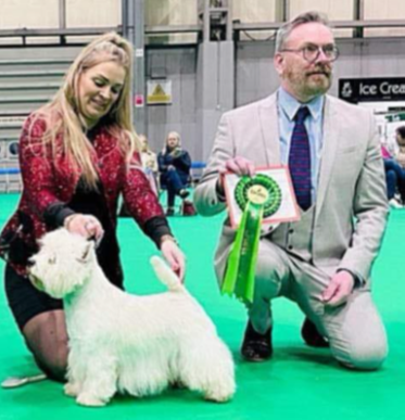 INT.UK CH WHITE VILLAN LUCKY LUKE