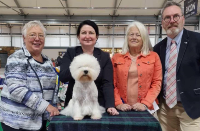 INT.UK CH POPPY CAKE SUNSHINE CELEBRATION