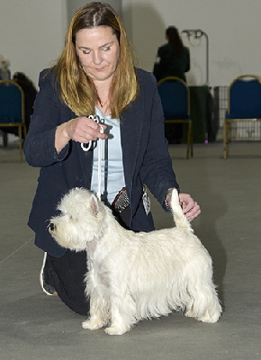 JB - Miss ErisWhisper Dusk via Vivolunar