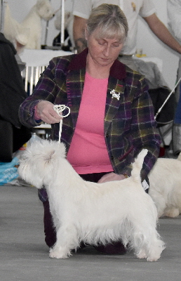 JB-Dalskairth Kirkholm Cutie