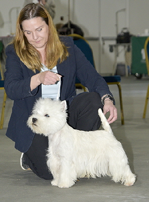 JD- Forest Sprite Whisper Dusk via Vivolunar