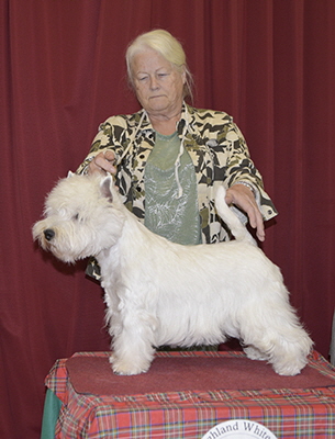 JD.BIS - Oh Karol Vixan (Imp Pol) JD.BIS - Oh Karol Vixan (Imp Pol)