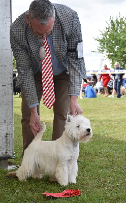 JD_Havasu Heir Apparent