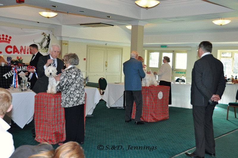 JudgingWOTY12 JudgingWOTY12