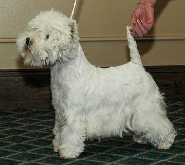 Karamynd Play To The Crowd