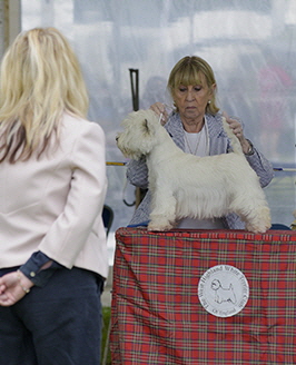 Krisma Winter Sun Krisma Winter Sun