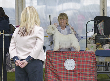 Krisma Winter Sun1 Krisma Winter Sun1