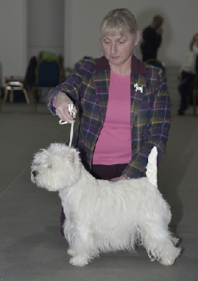 LB - Dalskairth Glamis Girl